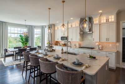 Chef's Kitchen. 3,905sf New Home in Woodstock, MD
