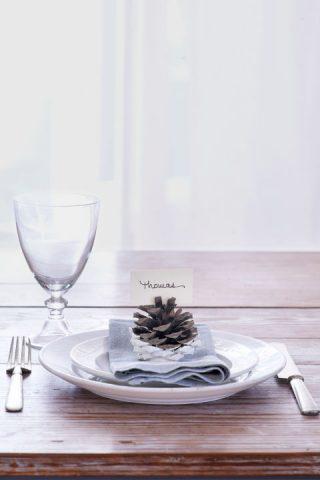 Pinecone Thanksgiving Name Card
