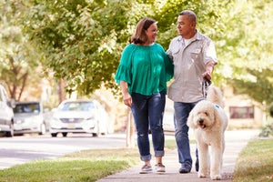 Walking the Dog. Ventry at Edgmont Preserve New Homes in Newtown Square, PA