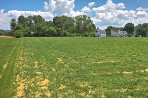 Darlington Terrace Community. Darlington, MD New Homes